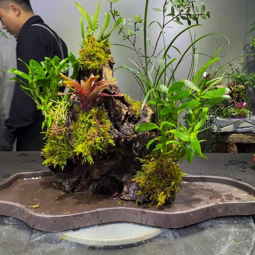 用***3无花朵1111111111111