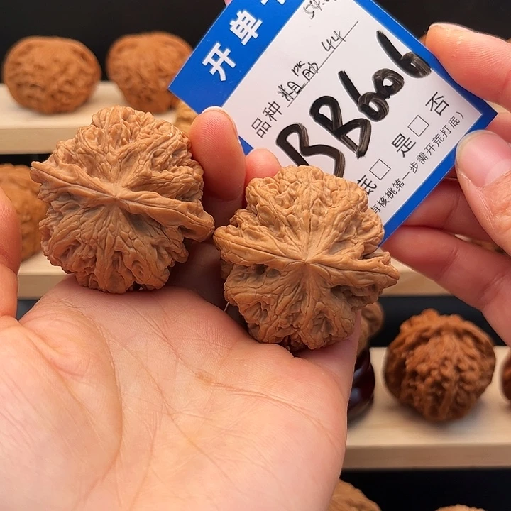 吊坠文玩核桃全品白茬球筋44