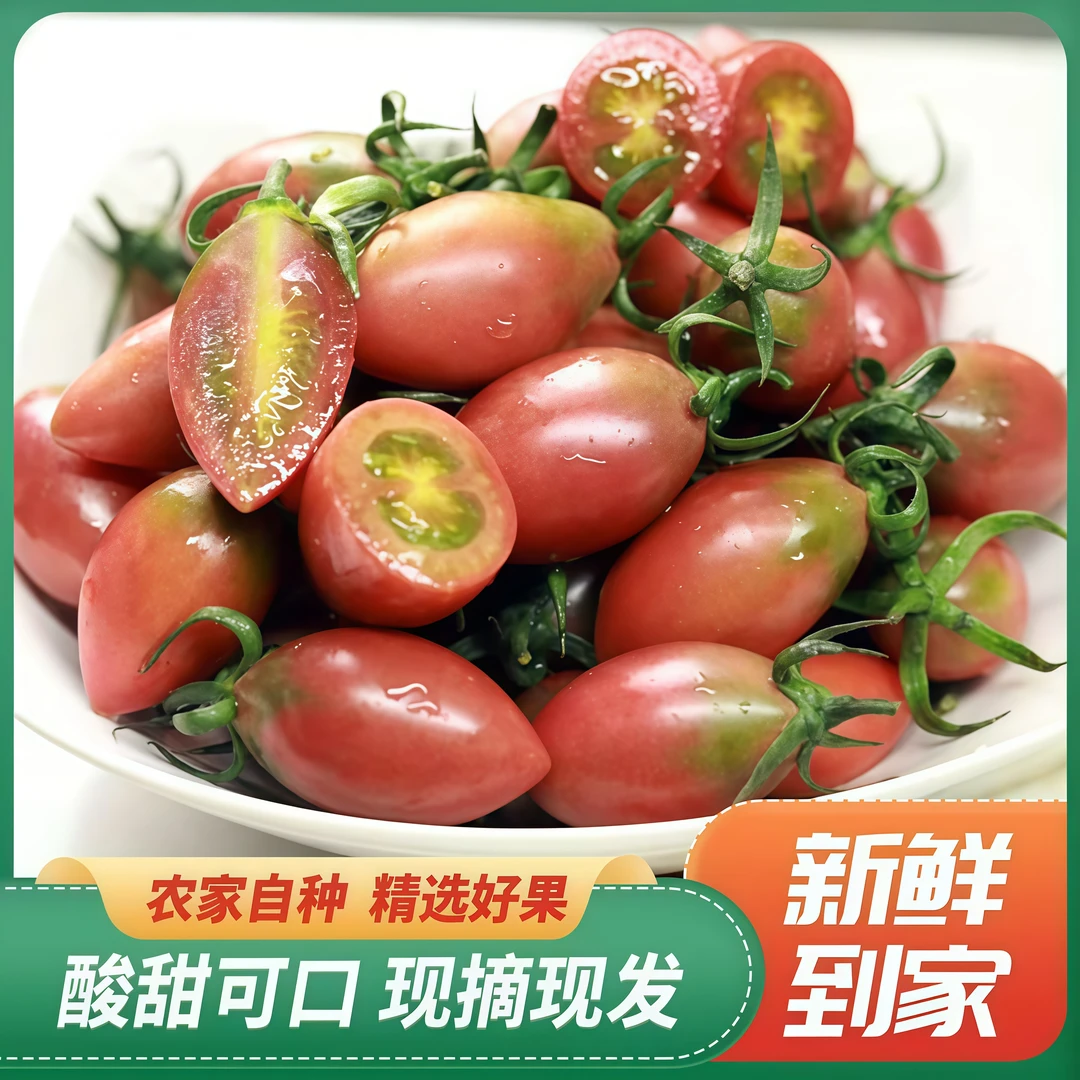 紫弹头小番茄圣女果新鲜采摘水果酸甜美味脆口多汁