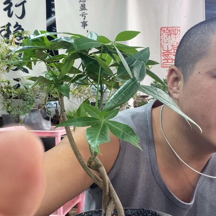 我***柚无花朵退款拉黑拉黑184