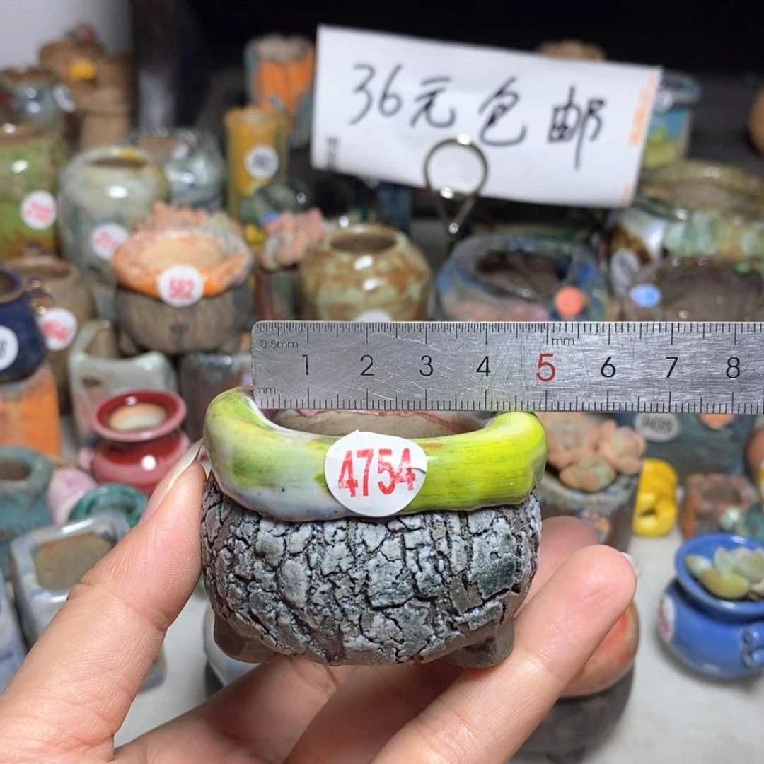 拍3送一个小礼物