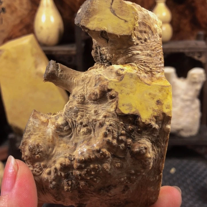 木坤木料木料木料木料