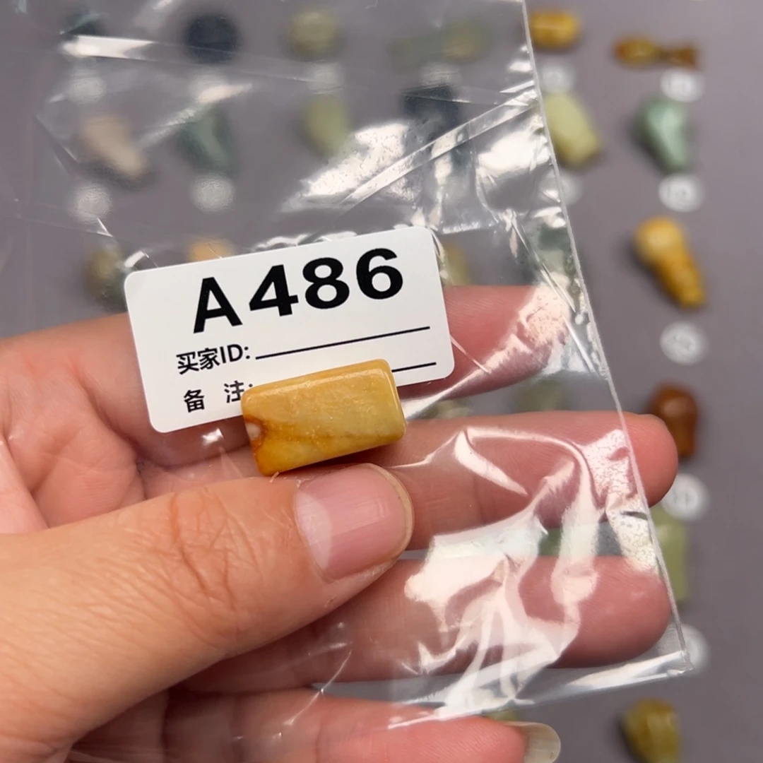 未镶嵌蛇纹石玉颈饰病*