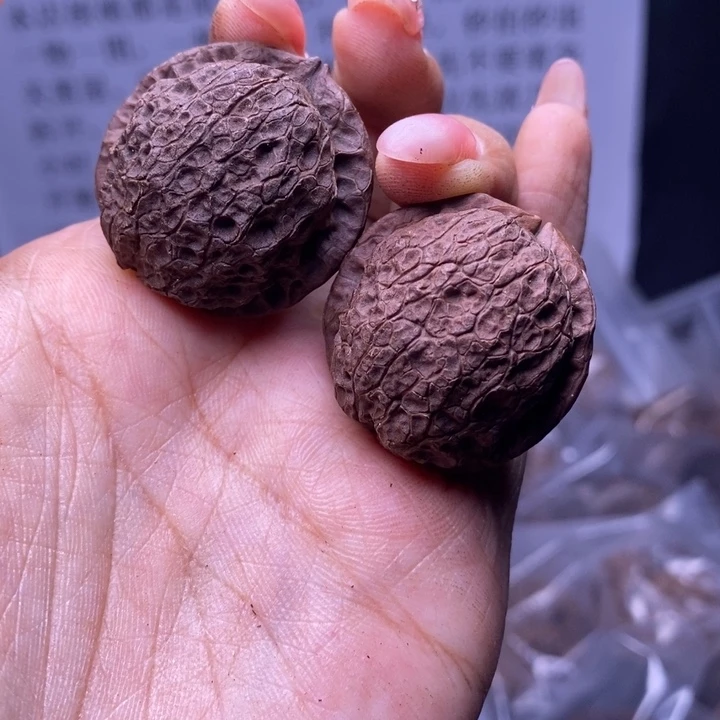 核桃云南野生铁核桃193号30mm