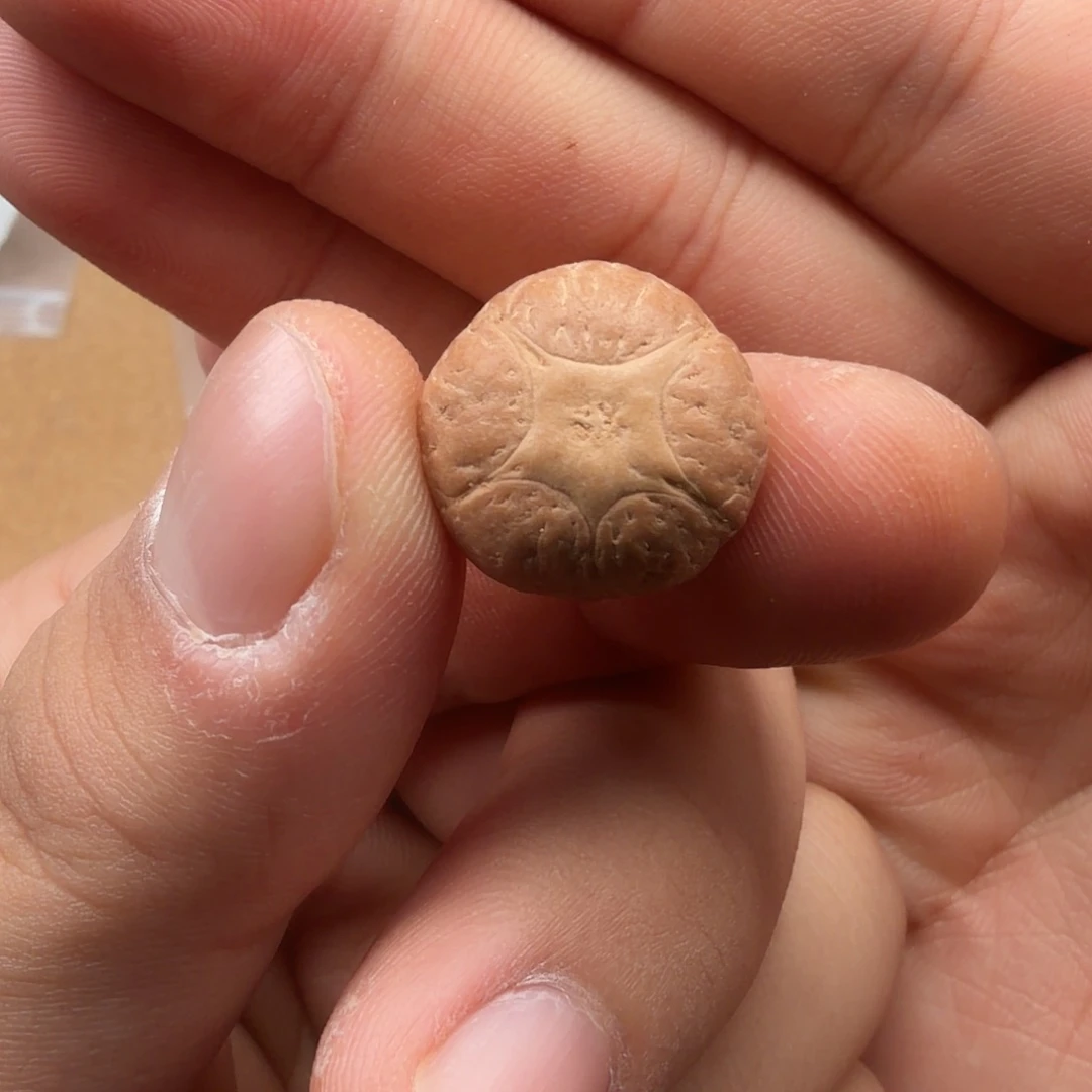 凤眼菩提吊坠五星