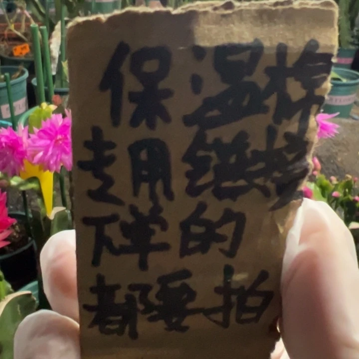 保温棉下单的都要拍，不是花