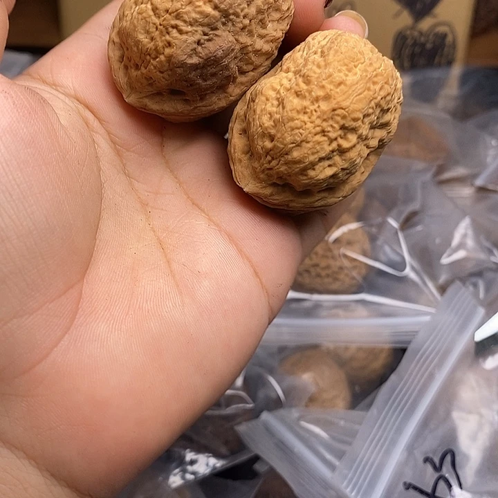 把件文玩核桃     45