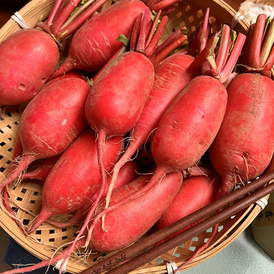 谷城庙滩汉江边沙土地农家自留种红皮萝卜