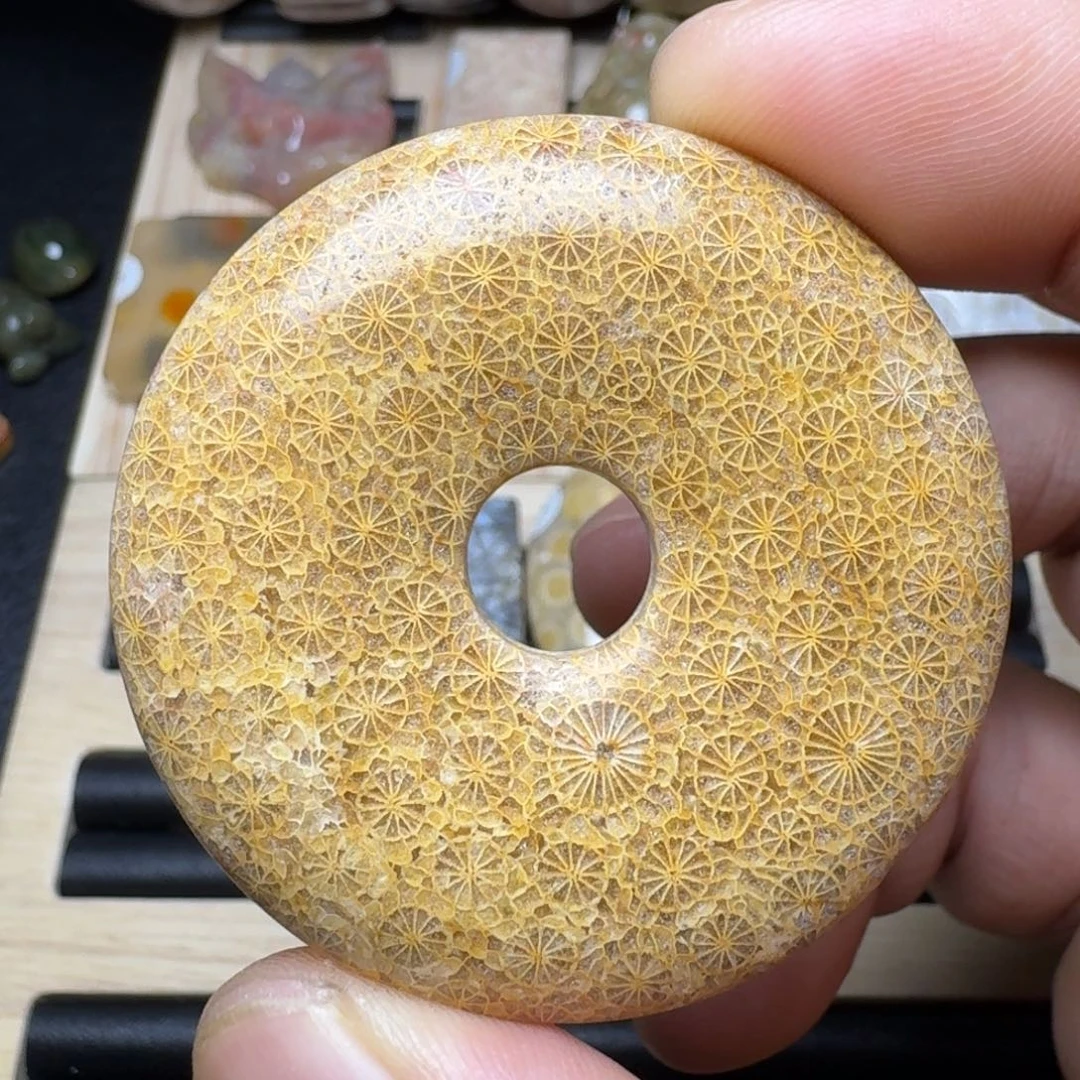 未镶嵌纯天然色有机玉石保真色硅化玉