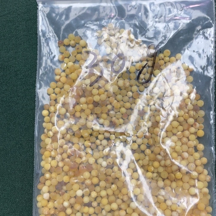 非金属六臻珠宝天然手串