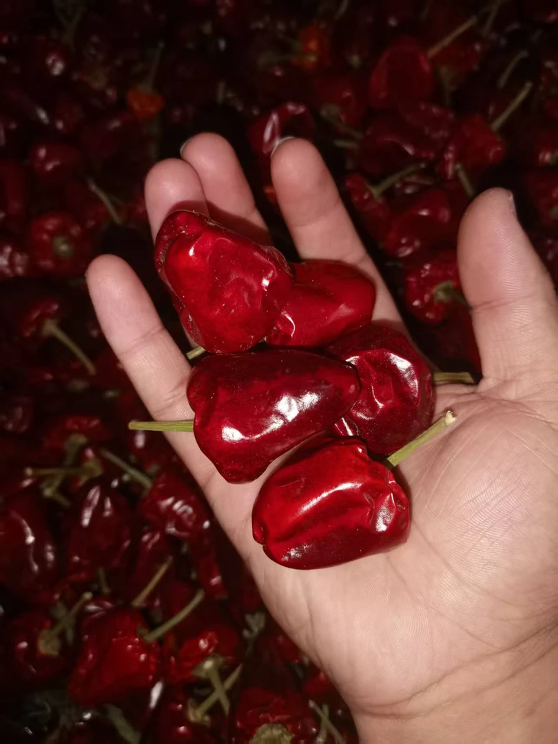 灯笼椒微辣正宗美味可爆香的干辣椒