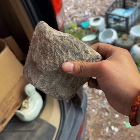 ****灵杂色豆（科檀/科特迪瓦檀木）
