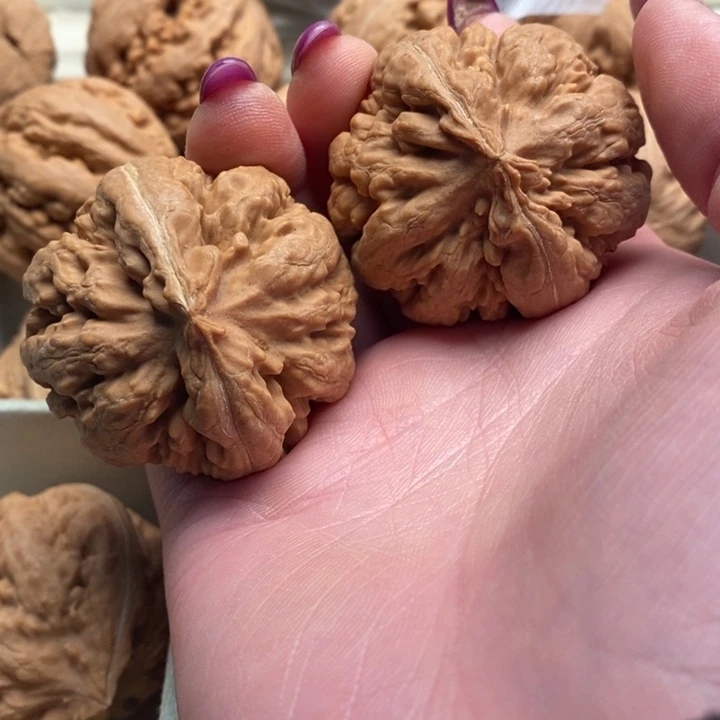****文玩核桃手串霸王龙