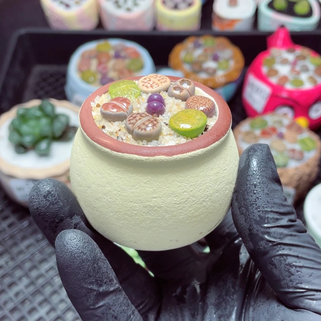 w5925--带盆土发货，零下地区拍保温箱