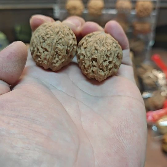 混元珠核桃啊啊啊啊啊啊