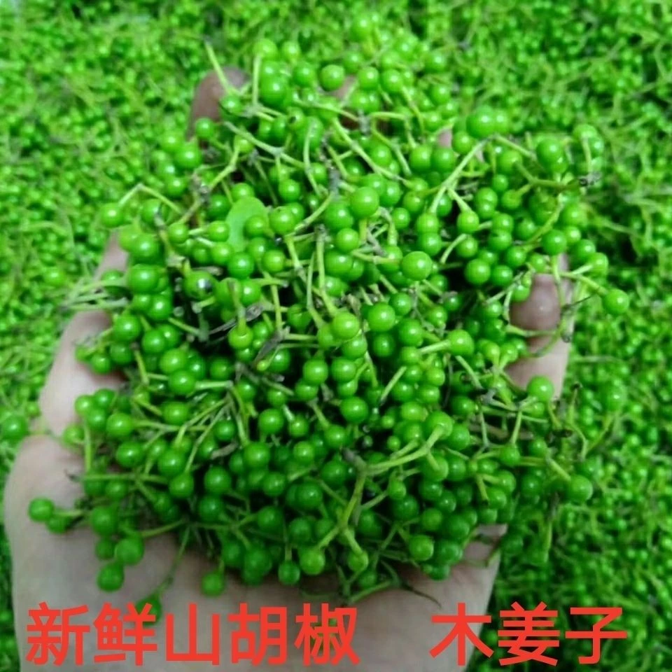 现摘新鲜木姜子山胡椒山苍子当天采摘当天发货生鲜食品