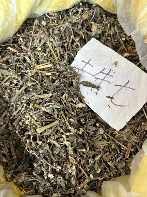 广西新晒新鲜土牛七全草倒钩草根倒扣草土牛漆全草