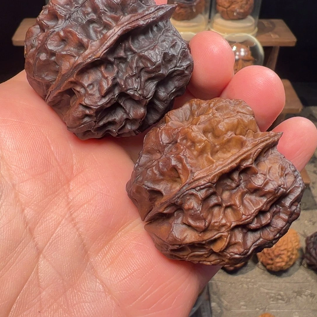 文玩核桃把件七彩皇冠43mm