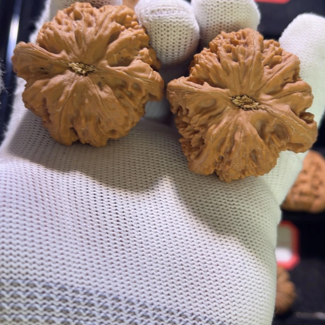 艾****秦皇岛山地果全品05