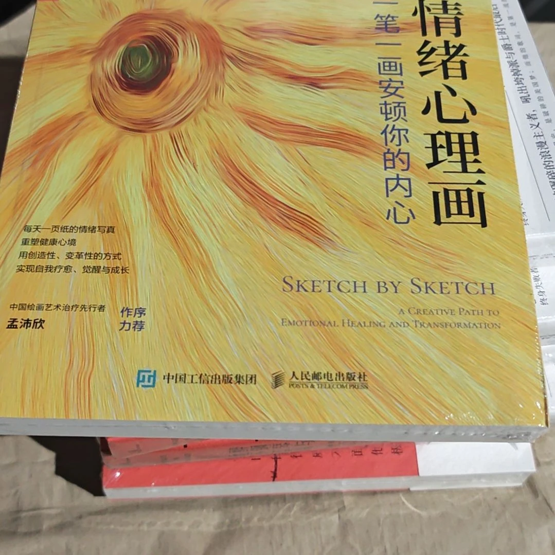 情绪心里话平装塑封全新