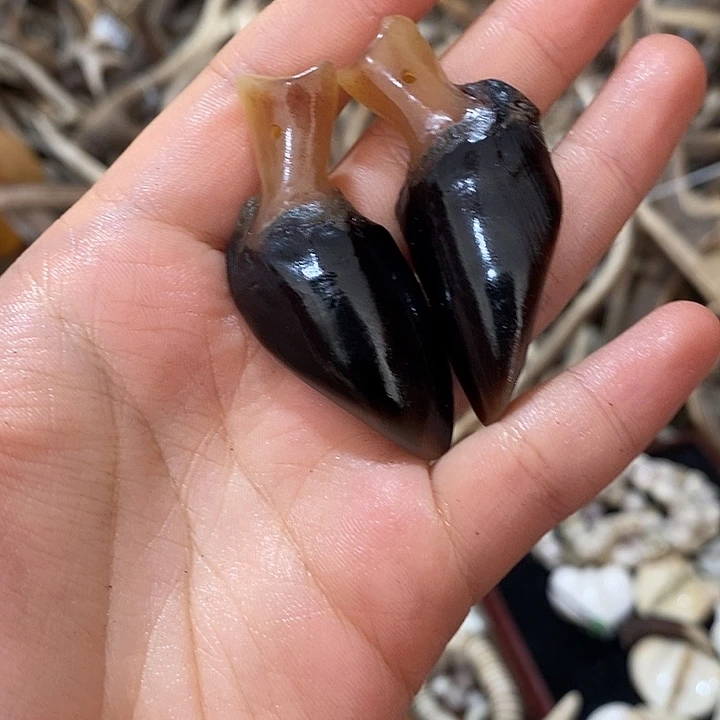 石英石非金属鹿蹄鹿蹄