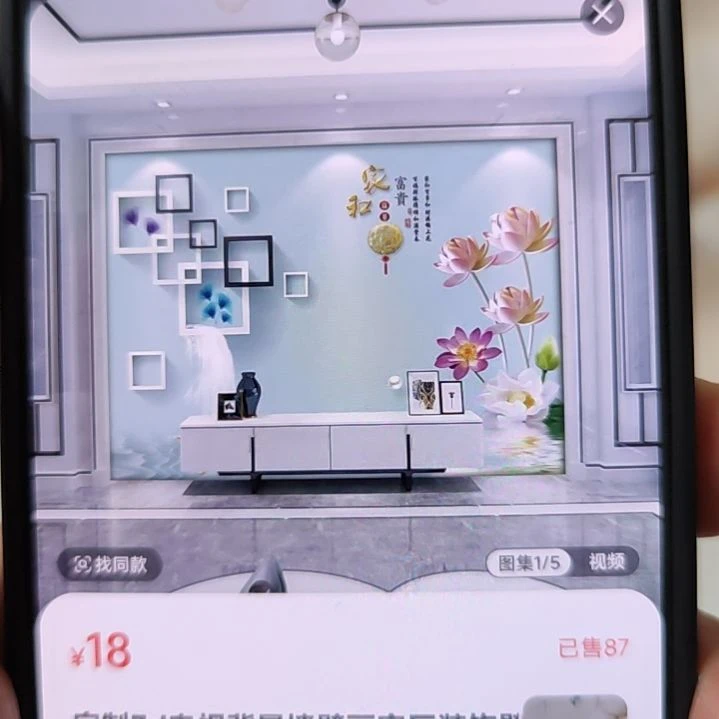 马***慧客厅电视墙壁画壁布材质