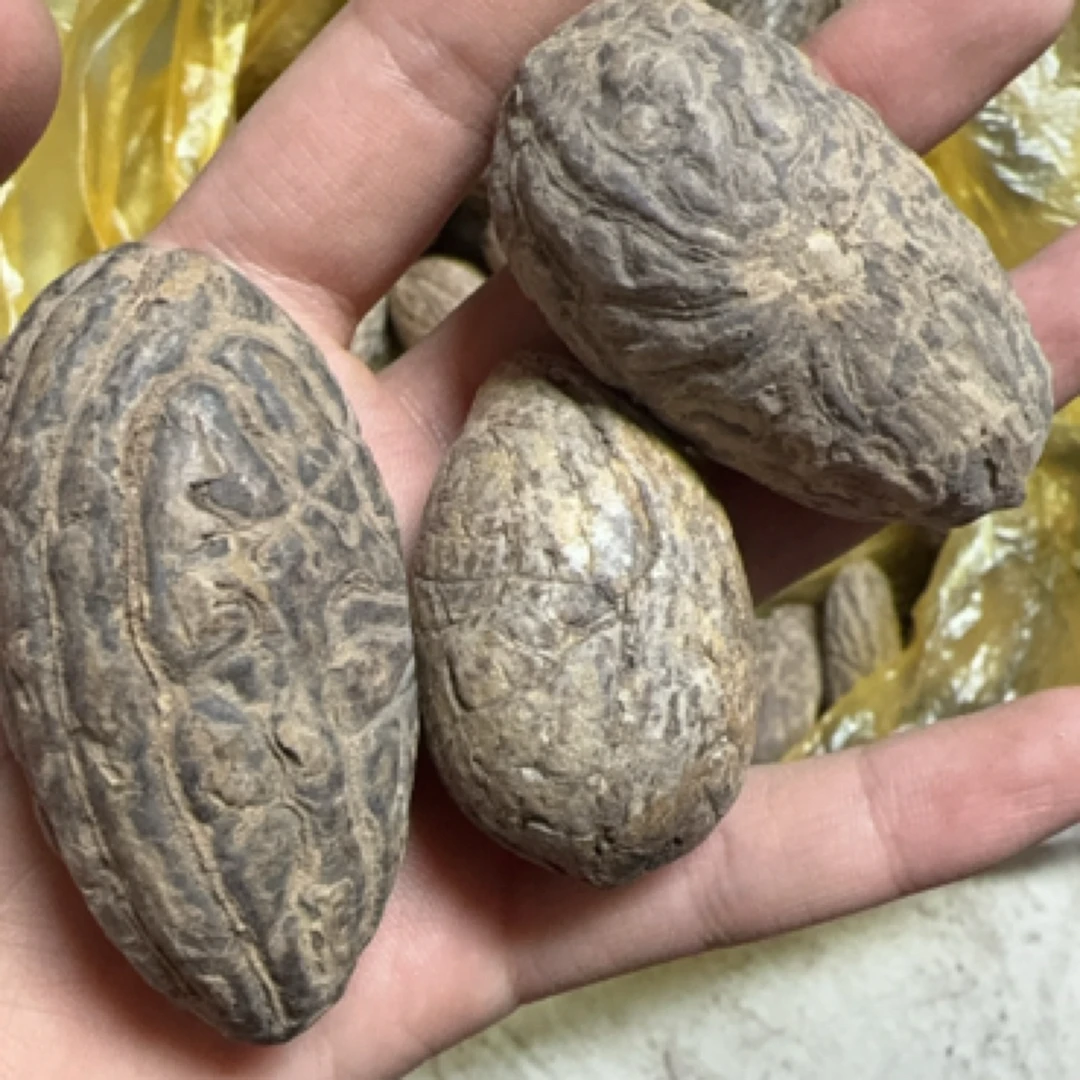 千眼果精品小果可作车挂脖挂钥匙扣手把件