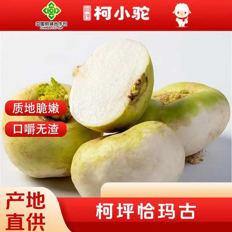 新疆柯坪县恰玛古碱性蔬菜蔓箐5斤