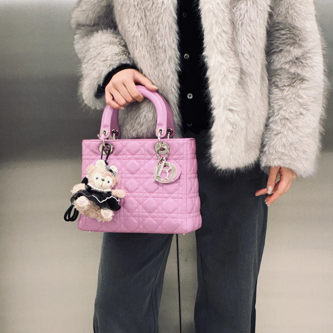 95新 DIOR/迪奥 dior手提包