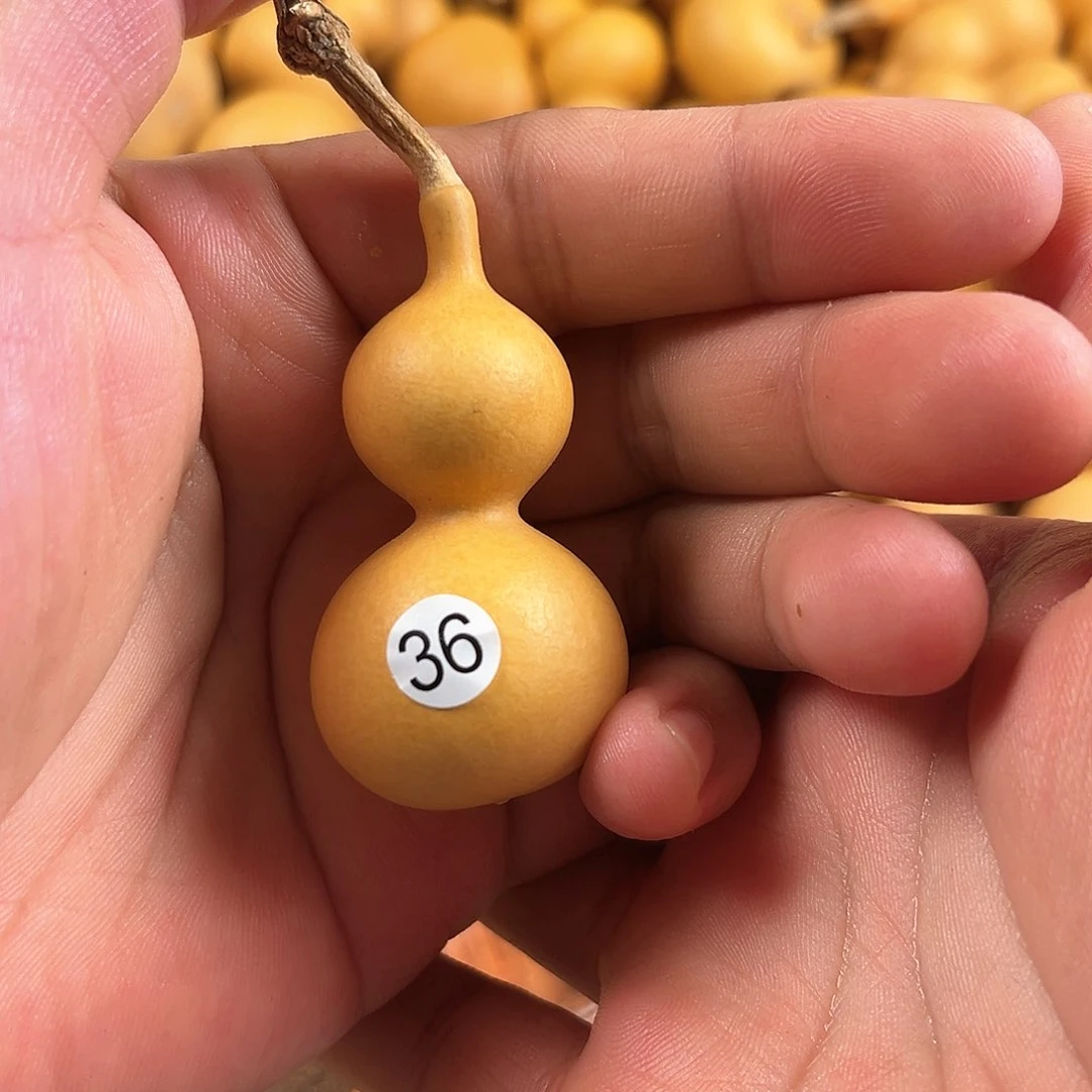 一葫芦葫芦葫芦葫芦葫芦36