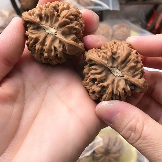 文玩核桃把件陈*～满天星