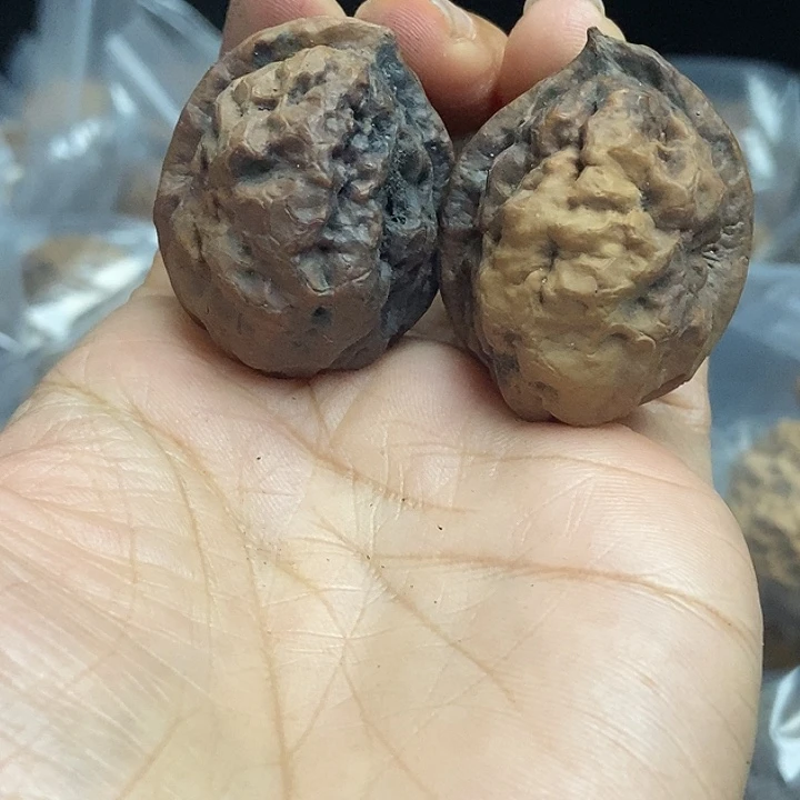 文玩核桃把件云南铁核桃基地69