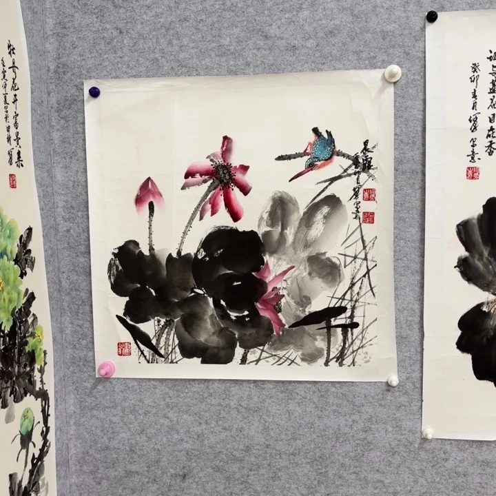 国画花鸟等多种鸟类的栖息地和栖息地