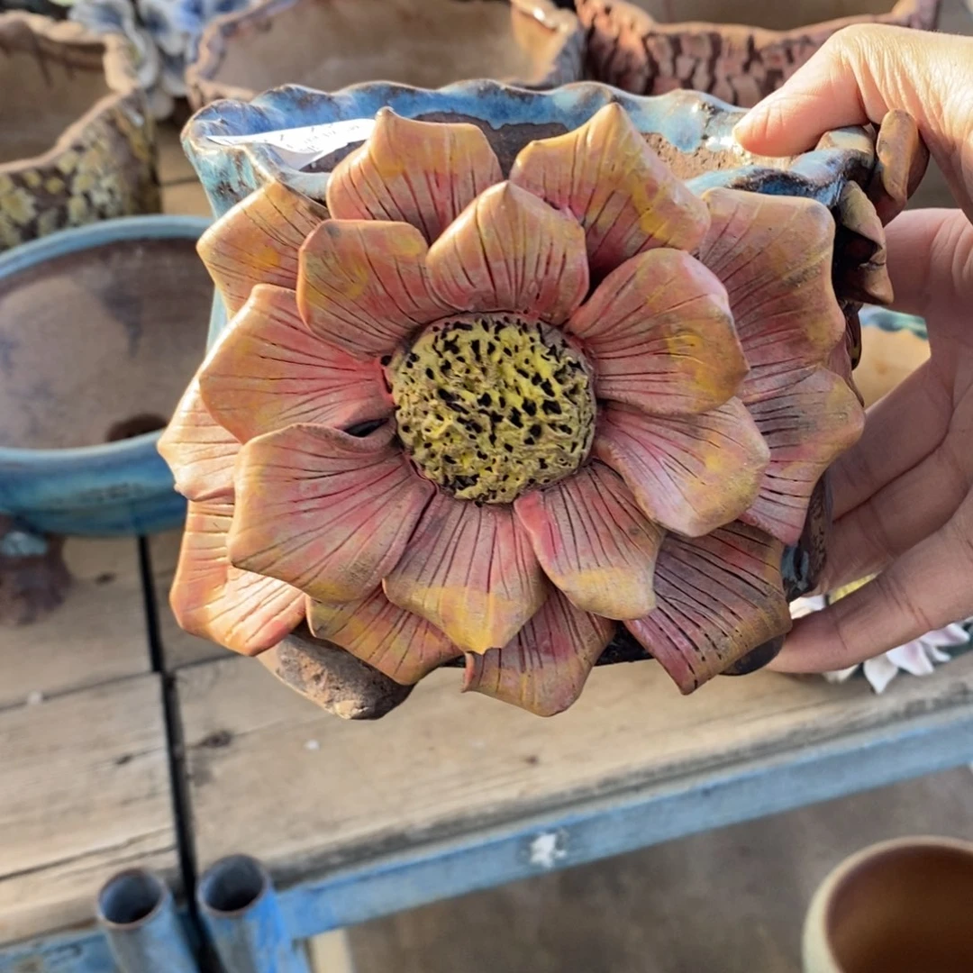 72号多肉盆口径12