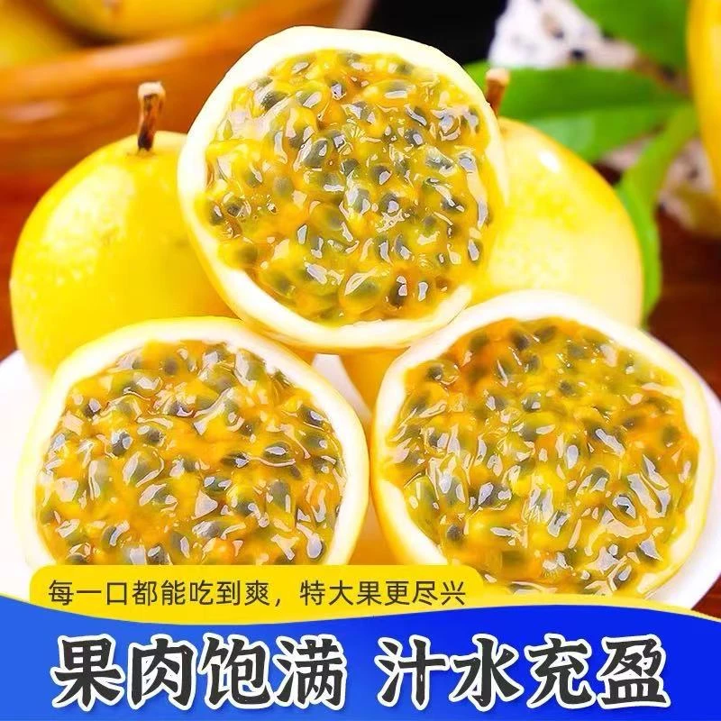 广西直采新鲜超硕大甘美多汁果肉籽皆可食用的黄金钦蜜9号百香果5