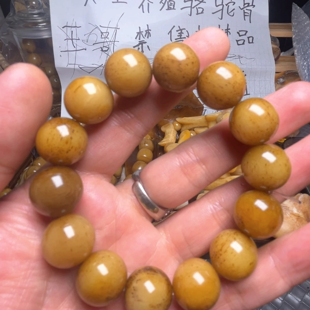 手串/手链驼骨166666666