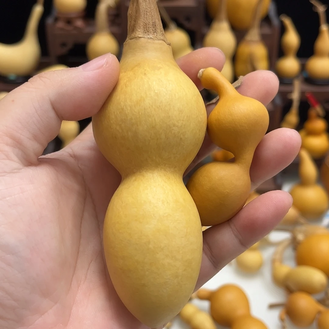 校***说藤葫芦葫芦葫芦葫芦