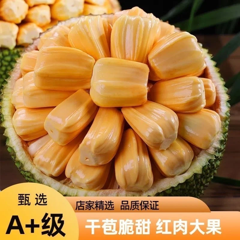 正宗海南红肉菠萝蜜脆甜泰8干包波罗蜜香甜热带孕妇水果一整个