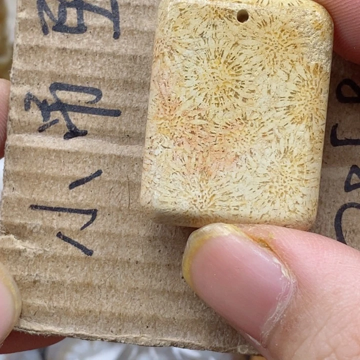 颈饰未镶嵌硅化珊瑚（珊瑚玉）￥****猫