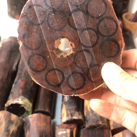 美****e印度小叶紫檀手串料一块