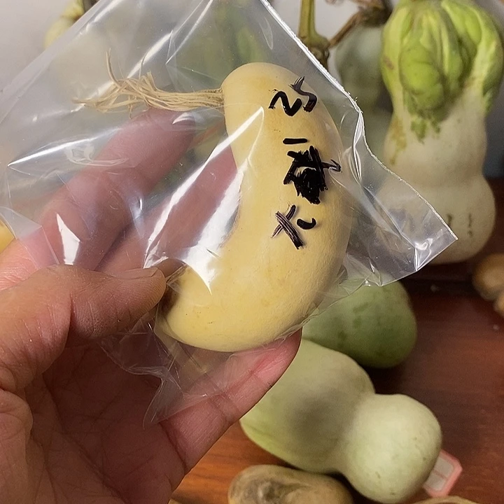 大***成青皮葫芦手把件摆件