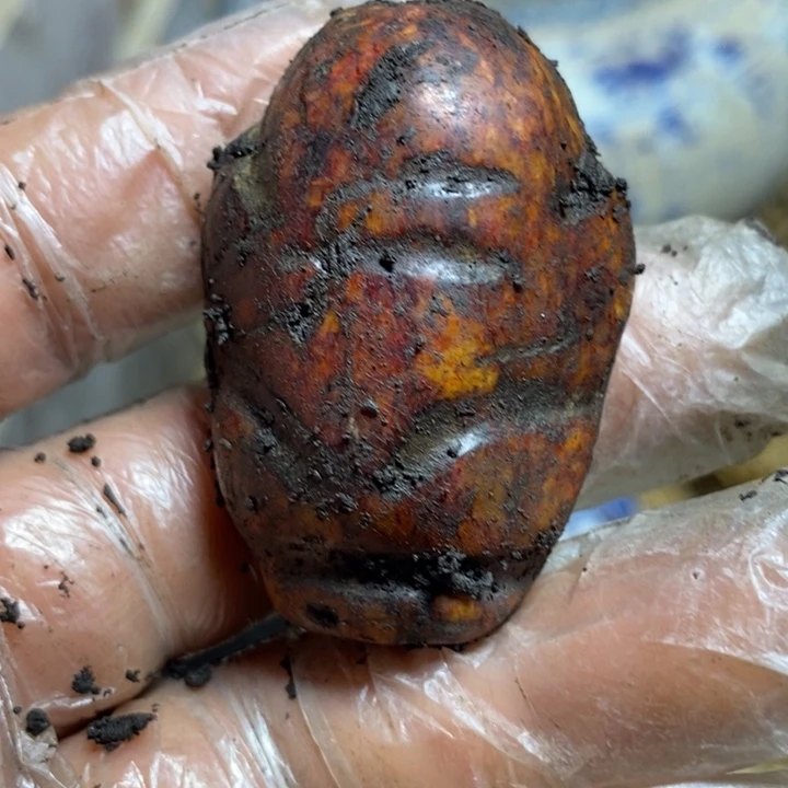 白玉菩提吊坠33333333