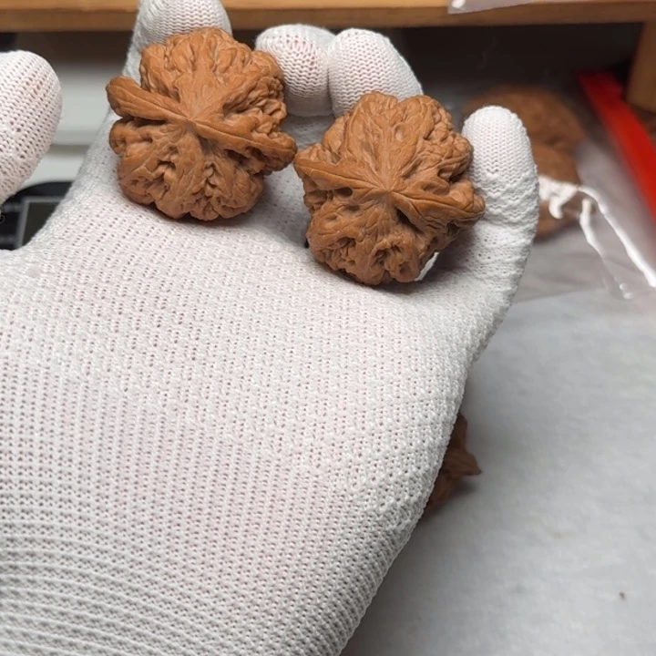 42全品无修大粗筋