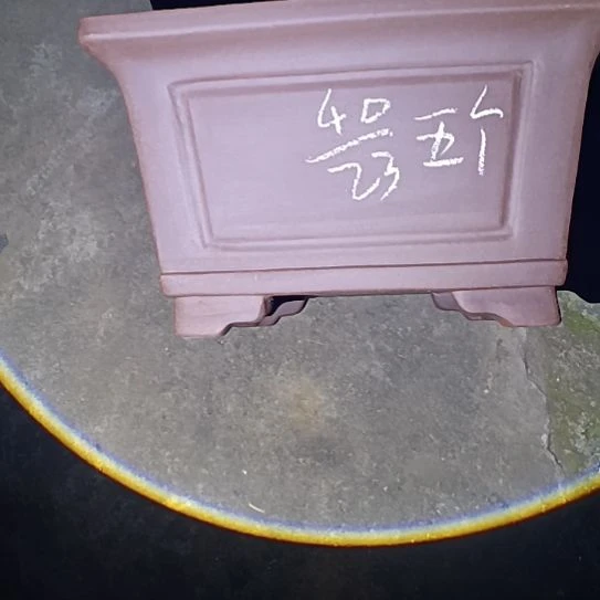 花盆紫砂宜兴紫砂厂家直销