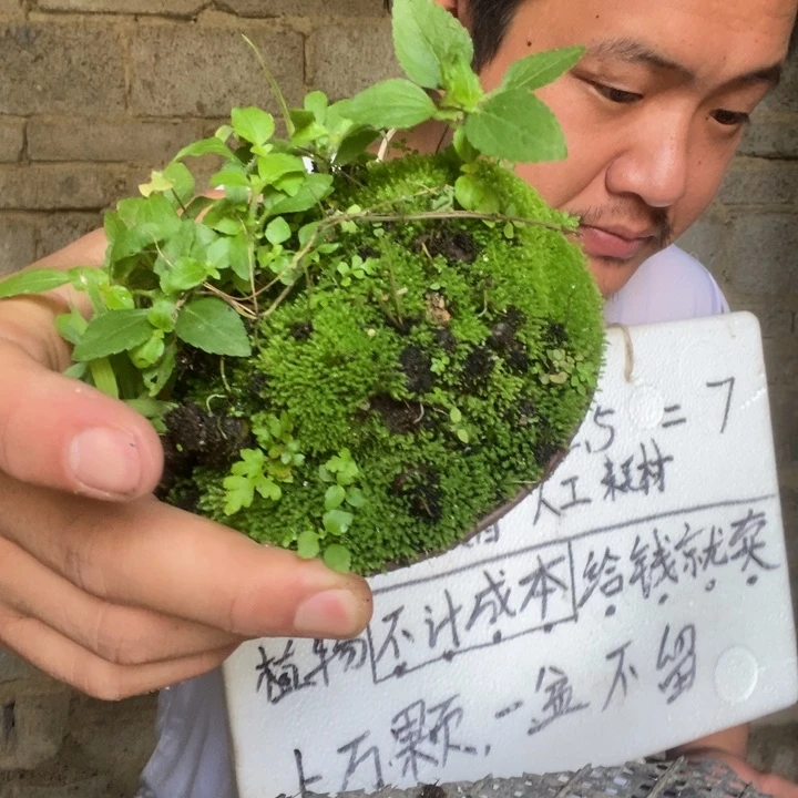 退款拉黑一物一拍216