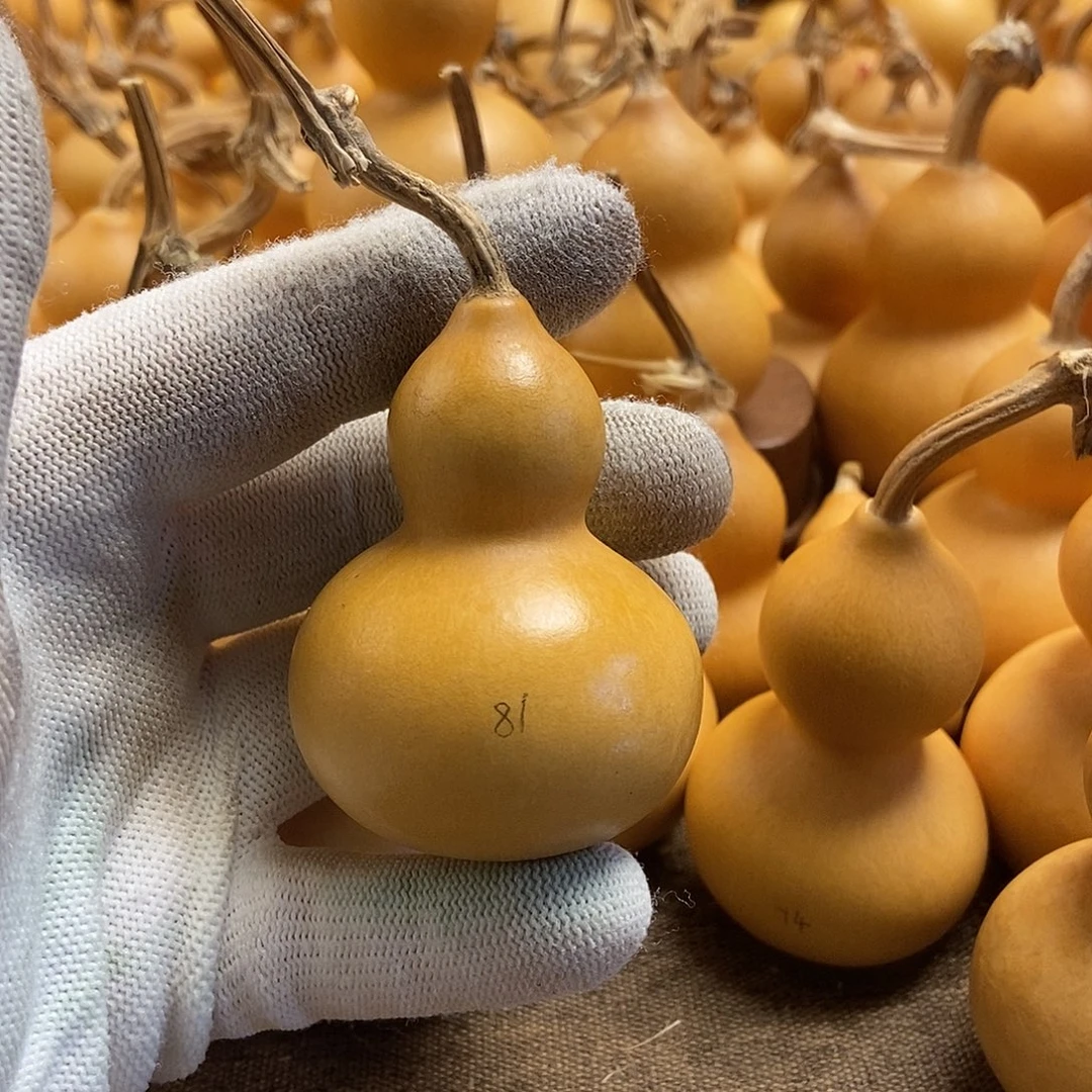 文玩葫芦 完美主义 慎拍81