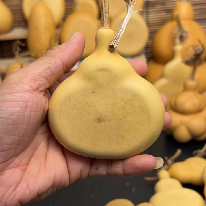 修****-2366969699699@666666