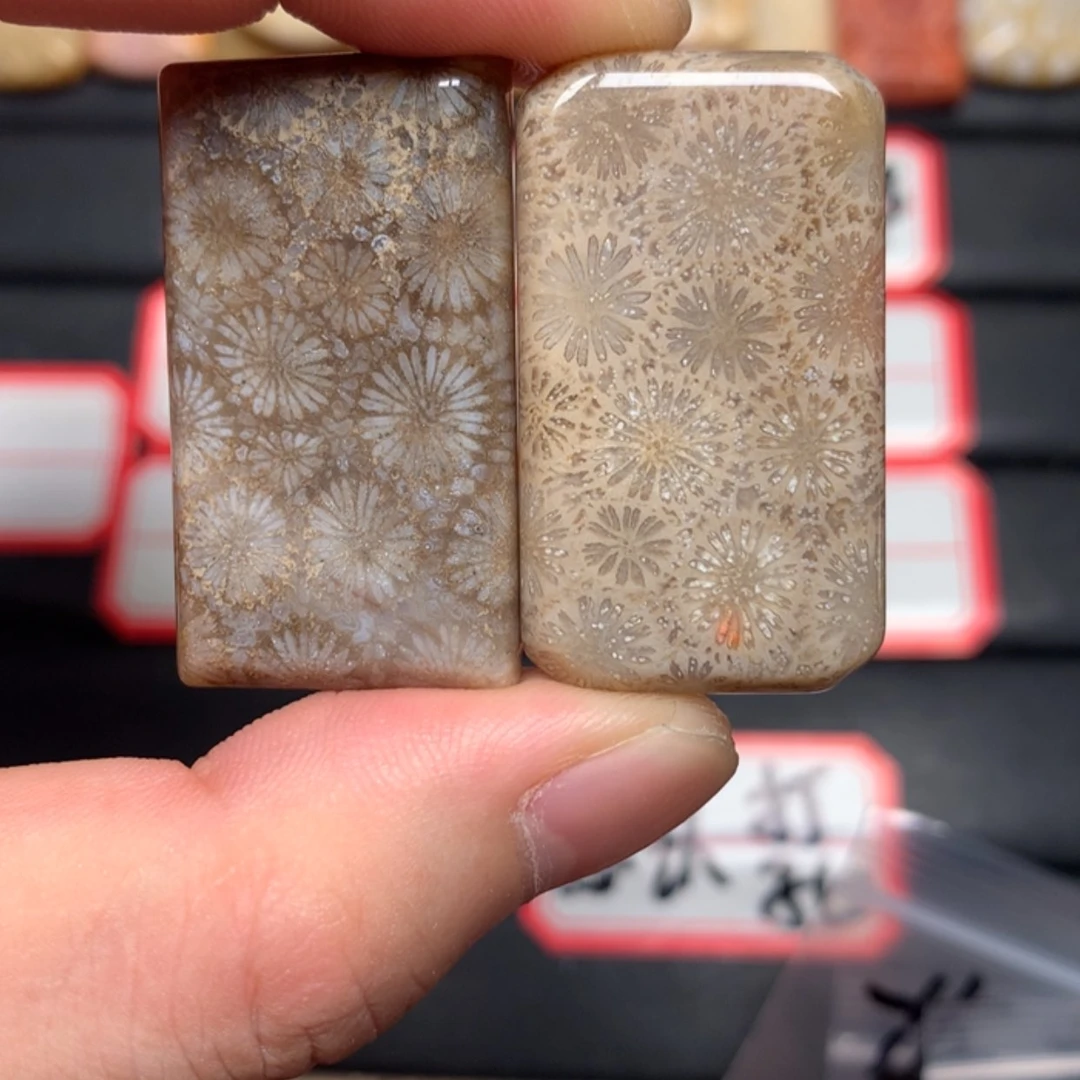 【闪购商品】硅化玉颈饰未镶嵌北*