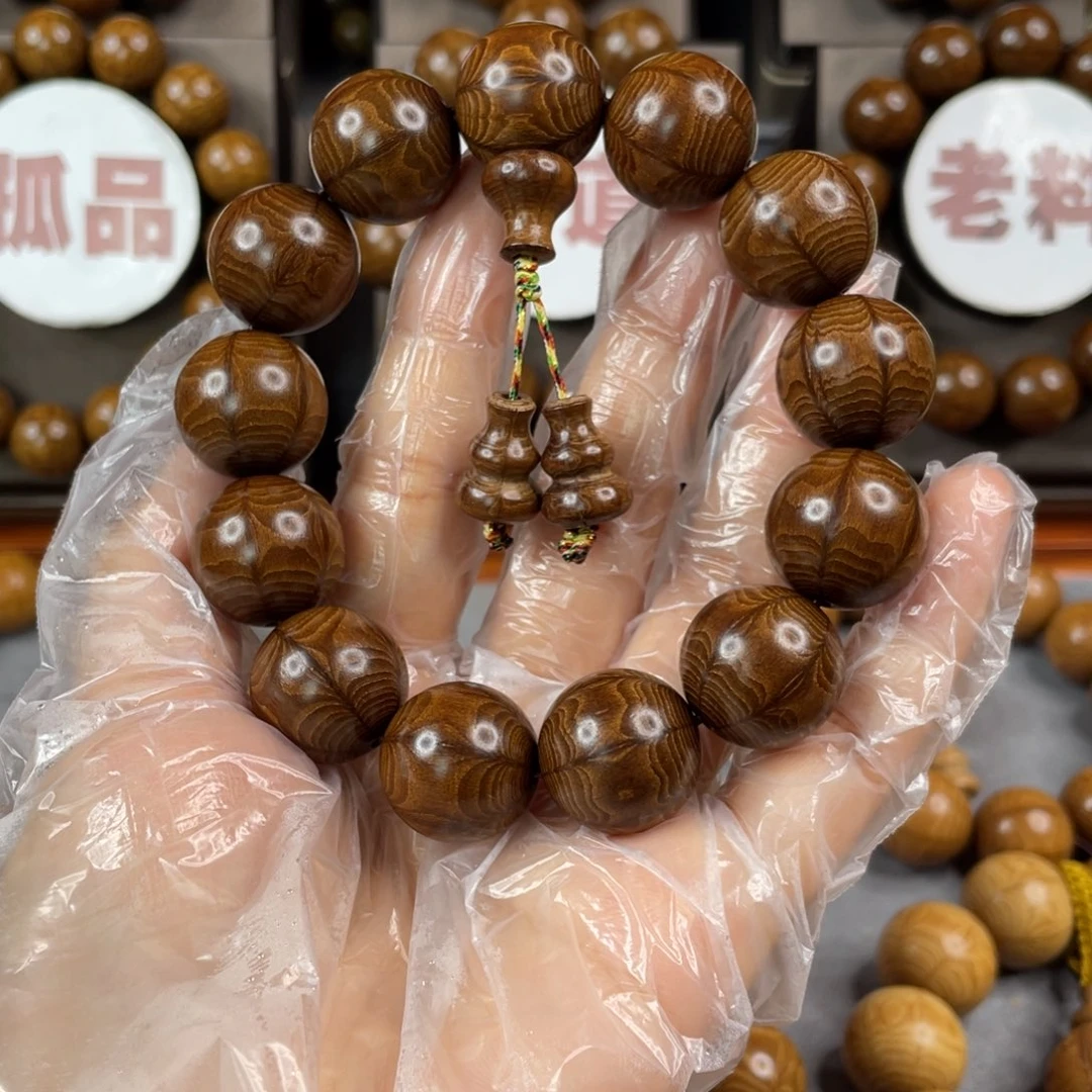 六道木枯树， 毕业1.8