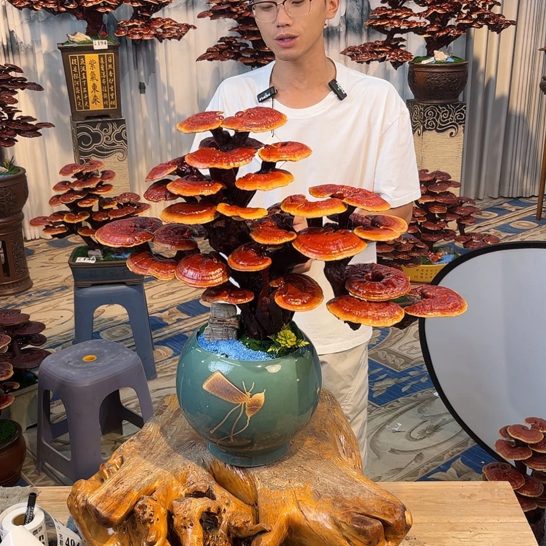 无花朵8888888888888